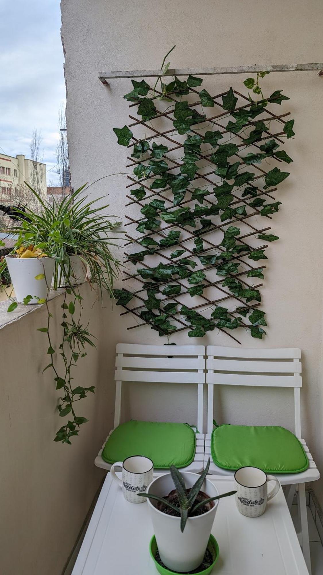 Modern Cozy Apartment 10 Min Walk To Skanderbeg Square ティラナ エクステリア 写真